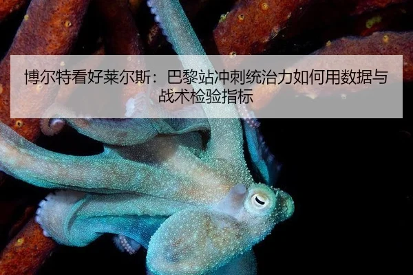 bo-er-te-kan-hao-lai-er-si-ba-li-zhan-chong-ci-tong-zhi-li-ru-he-yong-shu-ju-yu-zhan-shu-jian-yan-zhi-biao-2-161.jpg