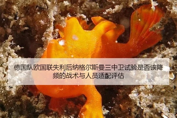 de-guo-dui-ou-guo-lian-shi-li-hou-na-ge-er-si-man-san-zhong-wei-shi-yan-shi-fou-gai-jiang-pin-de-zhan-shu-yu-ren-yuan-2-514.jpg